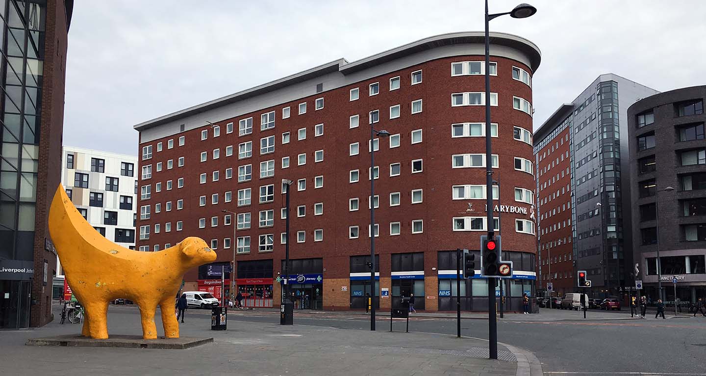 Brownlow Health @ Marybone exterior, with the lambanana in the foreground